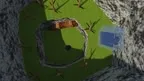 Gorilla Playground screenshot 5