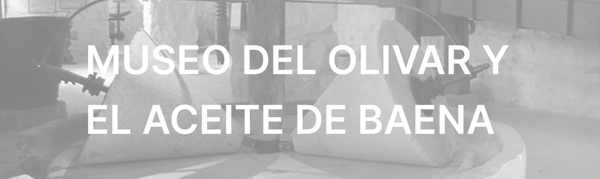 Baena Olive Grove and Oil Museum VR