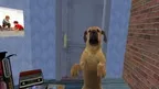 Virtual Duck Hunt screenshot 2