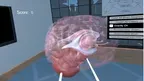 Human Brain Time screenshot 2