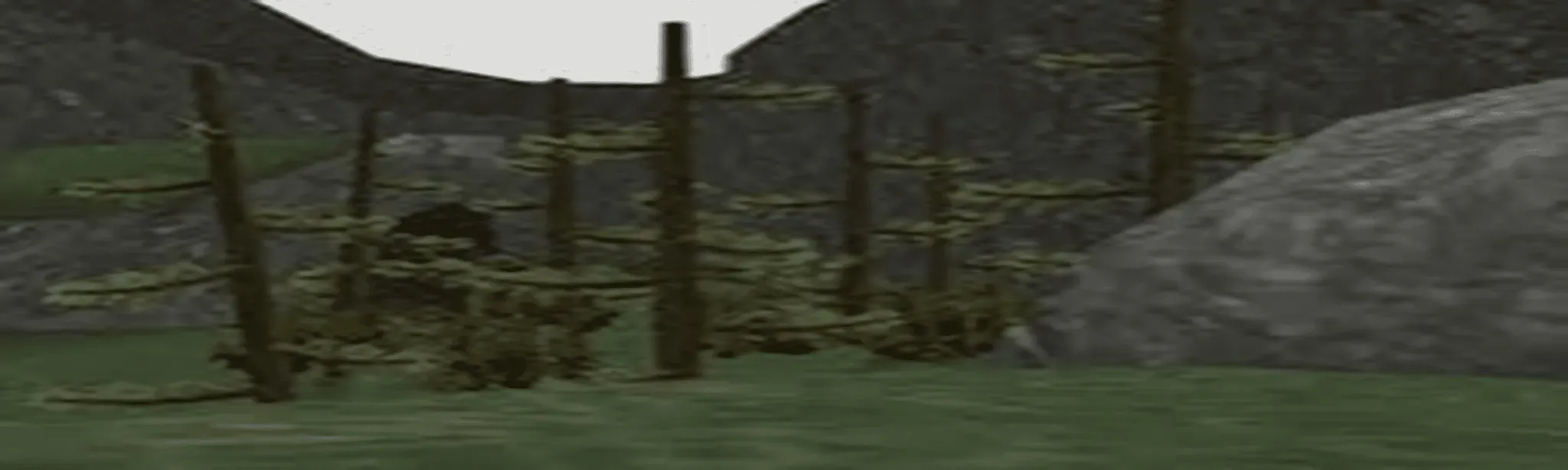 Forest Tag