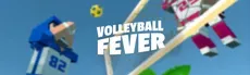 Volleyball Fever hero image