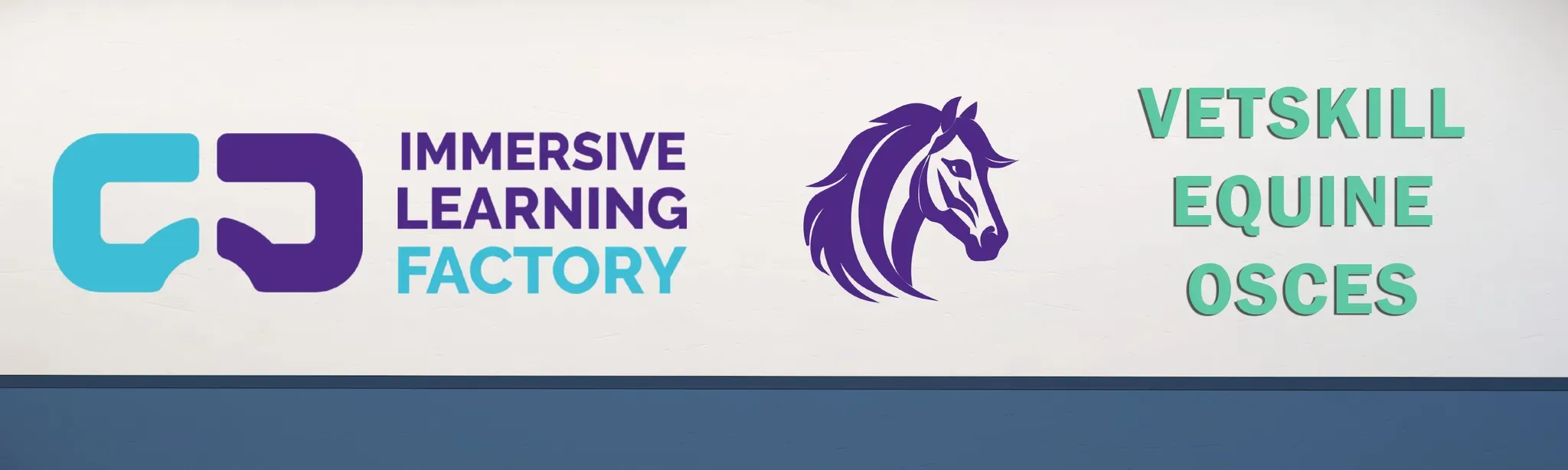 VetSkill Equine OSCE Practise Stations