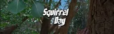 Squirrel Day hero image