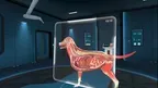Animal Anatomy XR screenshot 5