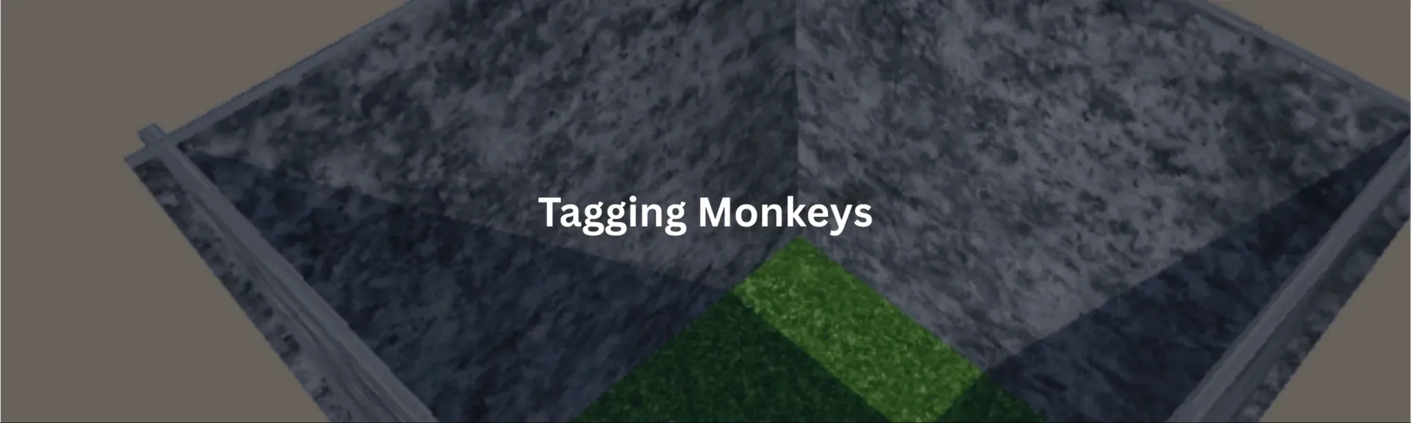 Tagging Monkeys