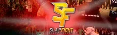SlapFIGHT CHAMPIONSHIP VR hero image