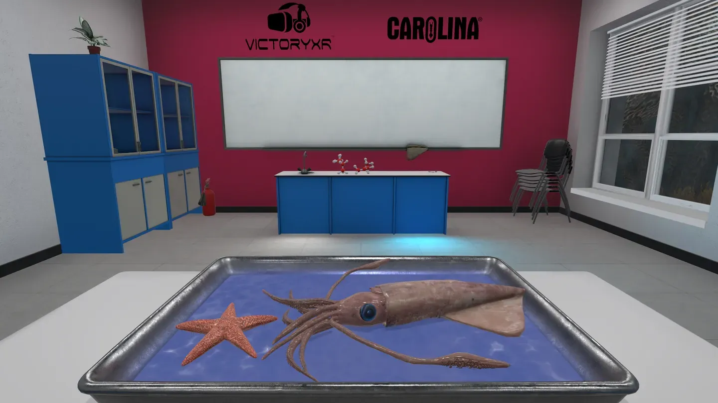 Dissection Simulator: Invertebrate Edition trailer 0