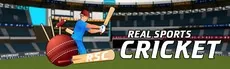 Cricket hero image