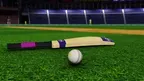 CricketX screenshot 1