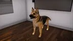 VBIDogExposure screenshot 3