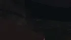 Stalking Gorilla screenshot 0