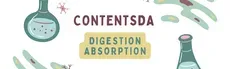Digestion Absorption Experiment - ContentsDa Science Experiment hero image