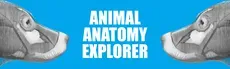 Animal Anatomy Explorer hero image