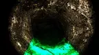 Screech screenshot 1