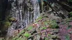 3D scan of a basalt canyon screenshot 2