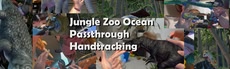 Jungle Zoo Ocean Passthrough Handtracking