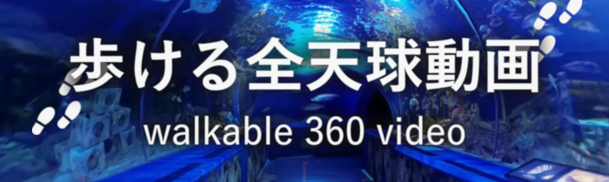 Walkable 360 Video hero image
