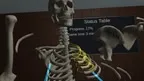 Human Anatomy Puzzle screenshot 1