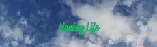 Monkey Life hero image