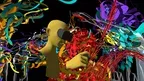 EmbodiMap screenshot 4