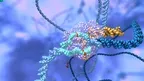 10k Science screenshot 4