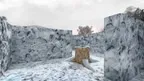 Maze Chase - Running & Walking Game screenshot 2