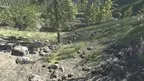 ZombieStarter screenshot 5