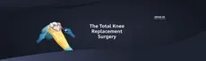 Total Knee Replacement Surgery hero image