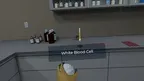 Complete Human Anatomy screenshot 4