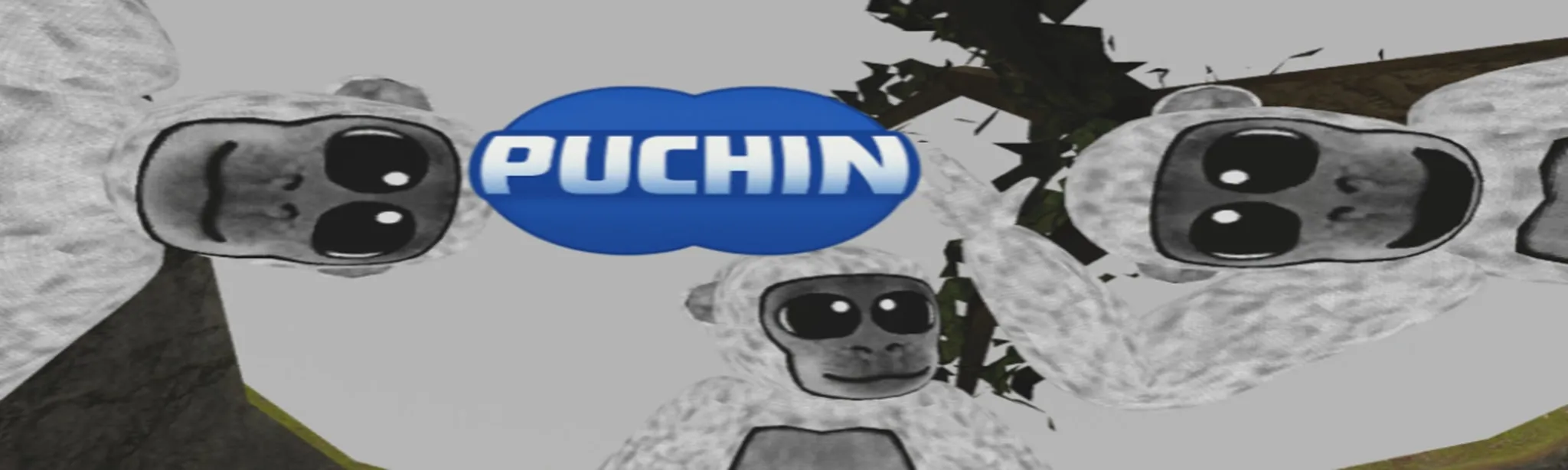 Puchin