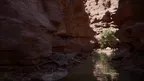 Real Kayak screenshot 5
