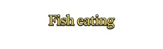 Fish Eating hero image