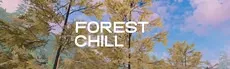 Forest Chill hero image