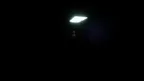 Chimpan Chase 2 screenshot 4