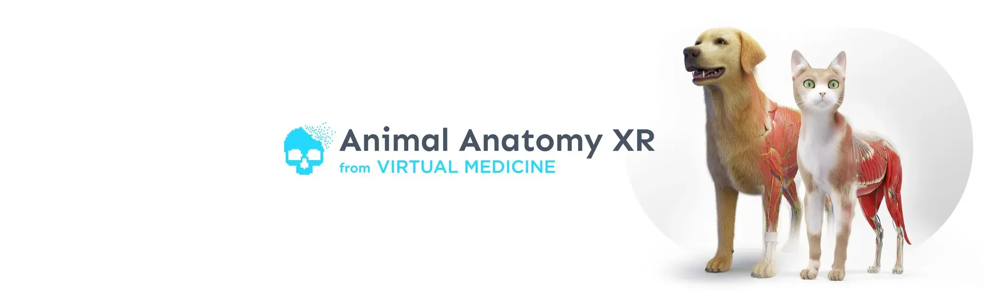 Animal Anatomy XR