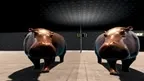 Hippo VR screenshot 1
