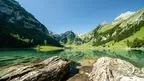 VRLIFE Nature Flow screenshot 3