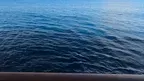 Open Ocean Sailing - VR Backgrounds screenshot 2