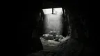 Lethal Ape‎‎‎‎‎‎‎‎ screenshot 0