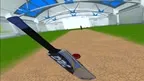 Runmaka Cricket screenshot 4