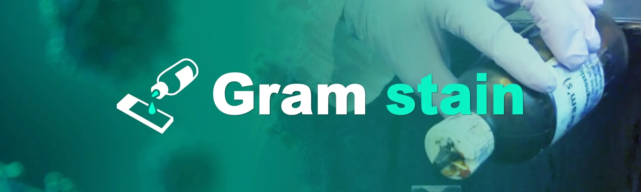 Gram stain
