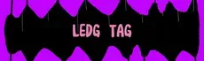 Ledg Tag hero image