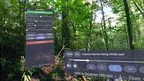 Vertex VR Video Player screenshot 2