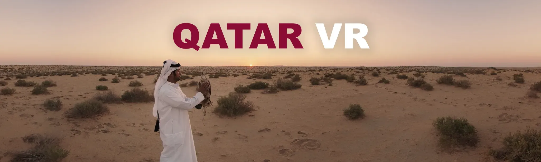 The State National Day Celebrations VR Experience