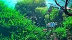 2D/3D Canary Islands screenshot 2