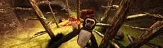 Primal Playground hero image