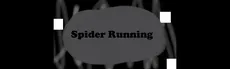 Spider Running hero image