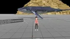 Universe Size Comparison screenshot 1