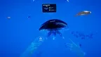 Deep Ocean Dive: Underwater Adventure screenshot 3